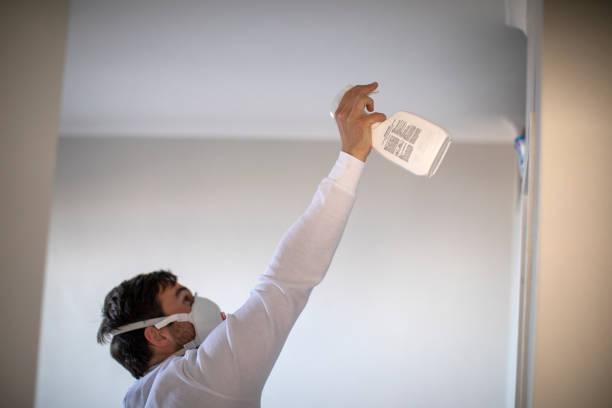 Best Mold Testing  in Brookfield, NJ